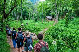 4 Days Cuc Phuong National Park Tough Trekking