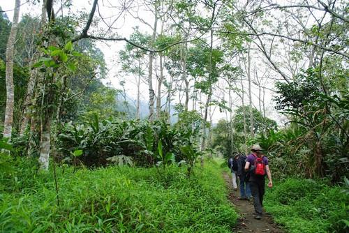 Cuc Phuong and Pu Luong Trekking And Homestay Tour - 9 Days