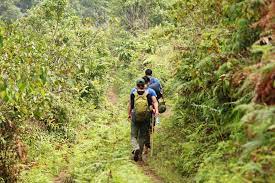 Dalat Trekking Tours To Jungle Fever - 2 Days