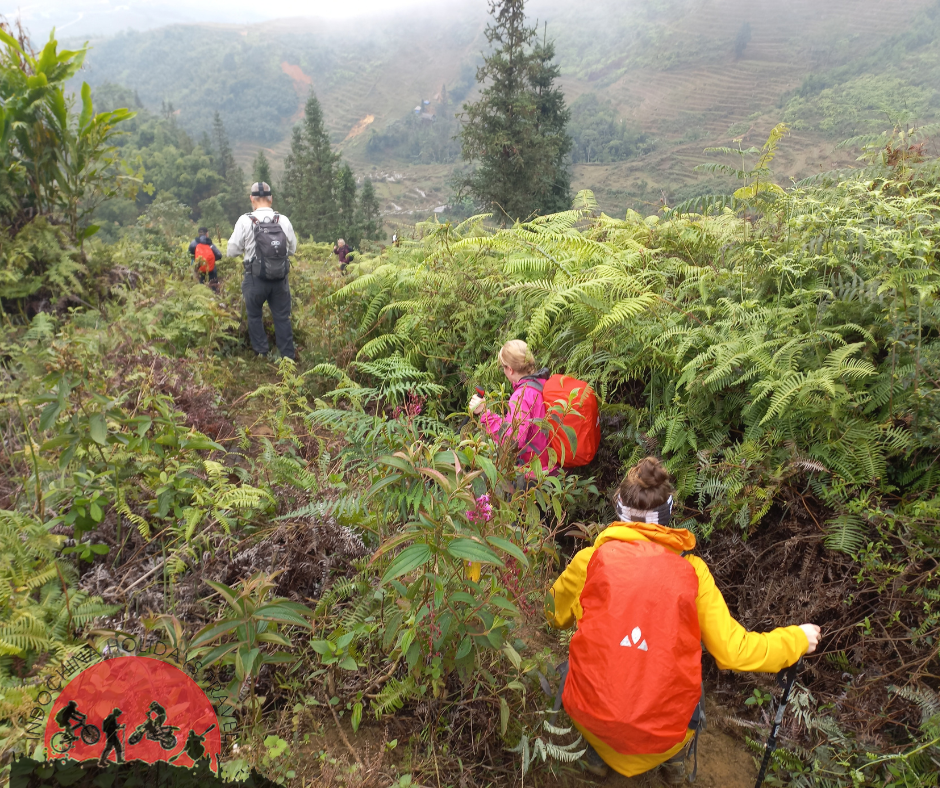 2 Days Sapa Trekking To Y Ty - The Tribal Loop Tour