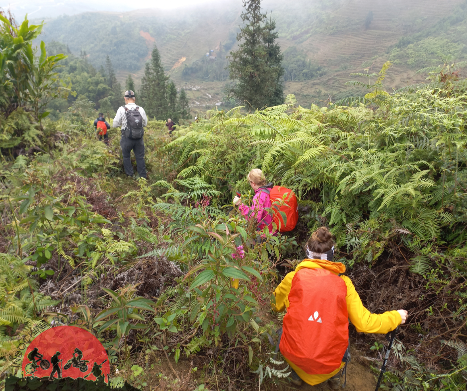 1 Day Tam Dao Mountain Trekking Tour