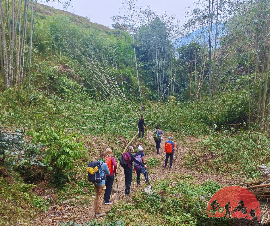 Xuan Son National Park Trekking Tour