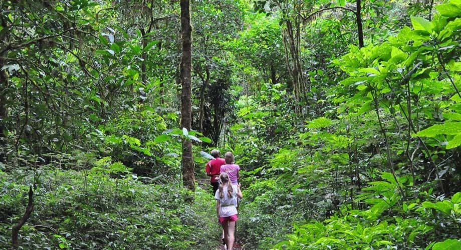 Dalat Trekking Tours To Jungle Fever - 2 Days 3