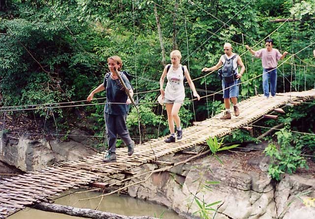 Northern Hilltribes and Jungles Trekking Experience - 12 Days 3
