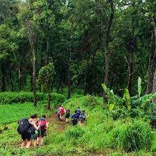 Northern Laos Trekking And Homestay Tour - 7 Days 4