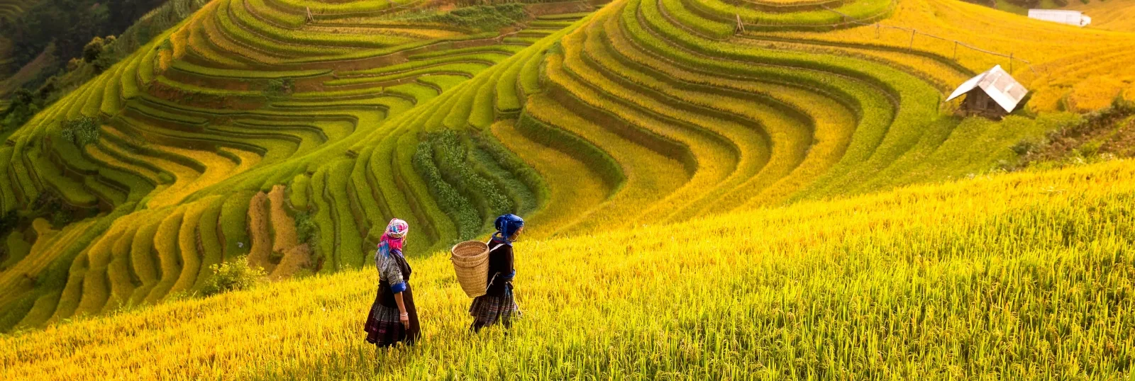 Trekking Vietnam