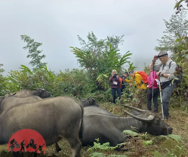 18 Days Luang Prabang Easy Trekking To Hanoi 1