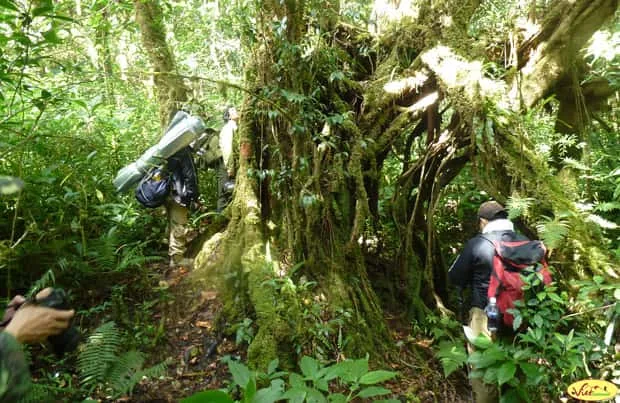 6 Days Trekking Tour in Remote Places in North Vietnam