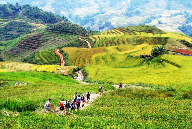 1 Day Sapa Trekking Through Rice Terraced Fields