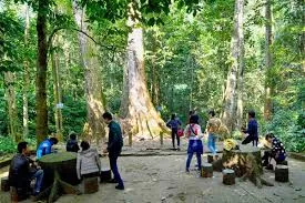 1 Day Cuc Phuong National Park Trekking