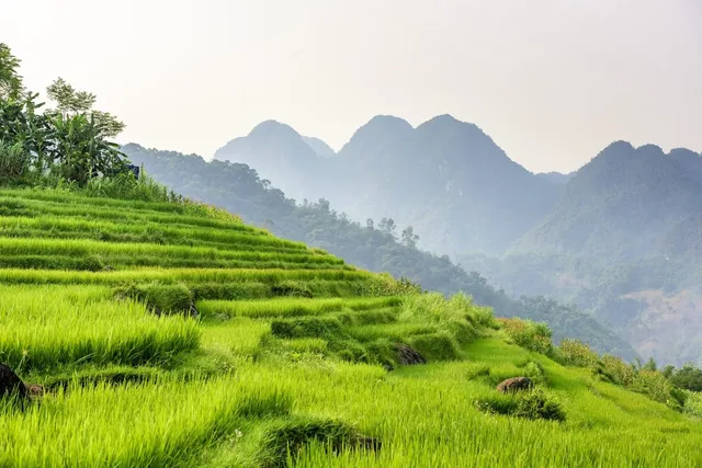 Hoang Su Phi Trekking Tour - 3 Days