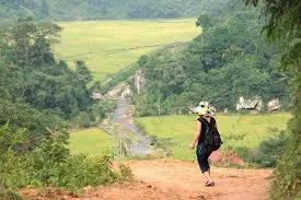 1 Day Sapa Trekking To Ta Phin Red Dzao Villages