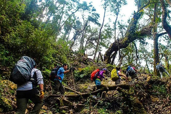 5 Days Mu Cang Chai - Fansipan Trekking Tour