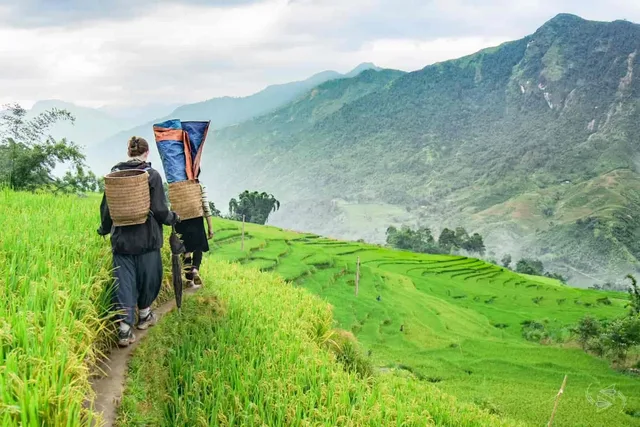 3 Days Sapa Trekking and Bac Ha - 4 Nights