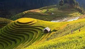 5 Days Hanoi - Bacha- Sapa - Mu Cang Chai Trek