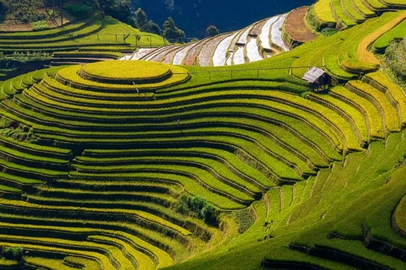 3 Days Sapa Valley Trek and Homestay Experience