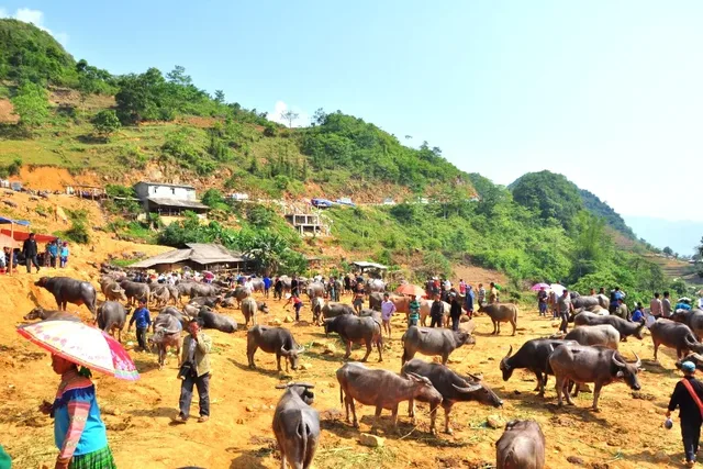 2 Days Can Cau Saturday and Bac Ha Sunday Market
