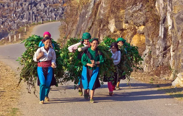 5 Days Bac Ha Trekking To Hoang Su Phi