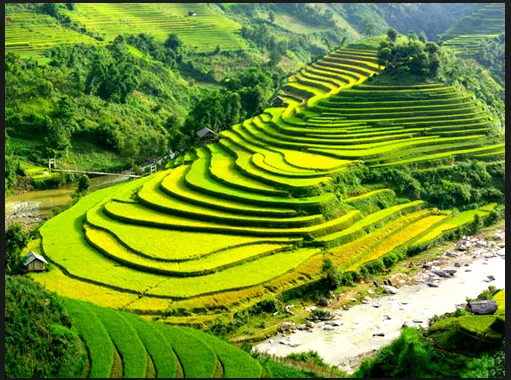 10 Days Northern Trekking and Halong Bay Cruise