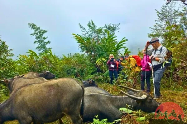 13 Days Hanoi Trekking Through Remote Villages To Luang Prabang
