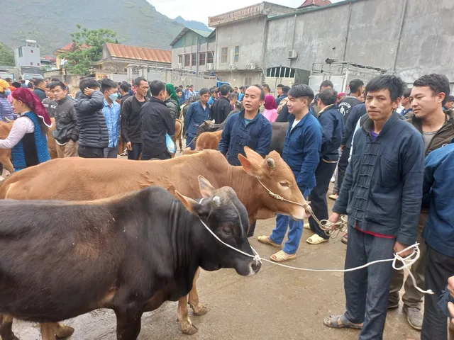 16 Day Northeast Vietnam Trekking Experience