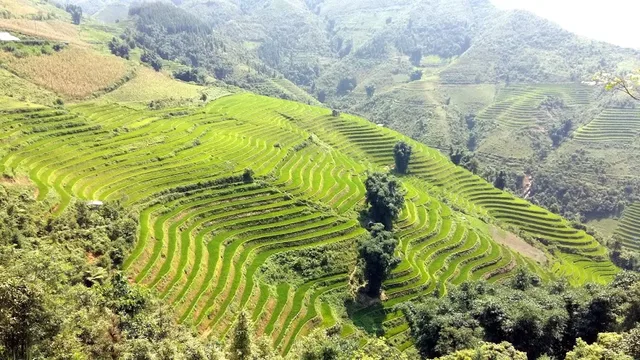 Bac Ha Experience Trekking Tour - 5 Days 1
