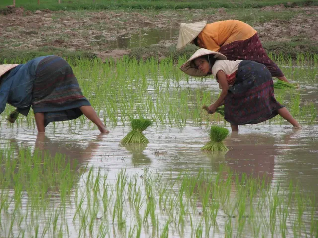 Bac Ha Special Trekking To Ethnic Minority Villages - 7 Days 3