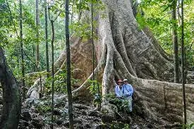 Cat Tien National Park Trekking Tours - 3 Days 1