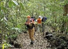 Cat Tien National Park Trekking Tours - 3 Days 2