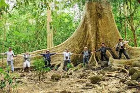 Cat Tien National Park Trekking Tours - 3 Days 3