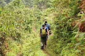 Cuc Phuong National Park Tough Trekking - 4 Day 4