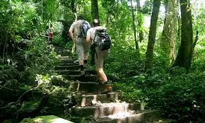 Cuc Phuong National Park Trekking - 1 Day 4
