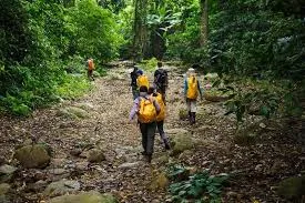 Cuc Phuong National Park Trekking Tour - 2 Day 4