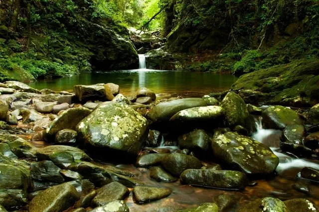 Fansipan Trekking Tour From Sapa - 2 Days 3