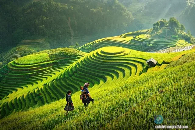 Ha Giang- Halong Bay – Ninh Binh Soft Trekking - 7 Days 3