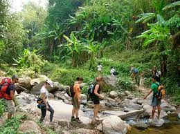 Hanoi - Bac Ha - Hoang Su Phi - Hagiang Trekking Trip - 9 Days 4