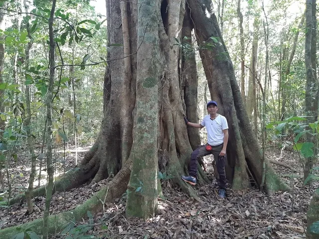 Jungle Lee Hiking Tour - 1 Day 2