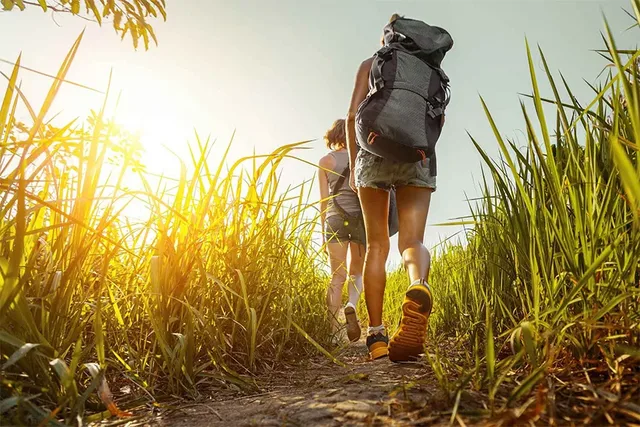 Lao Than Peak Mountain Hiking Tour - 2 Days 4