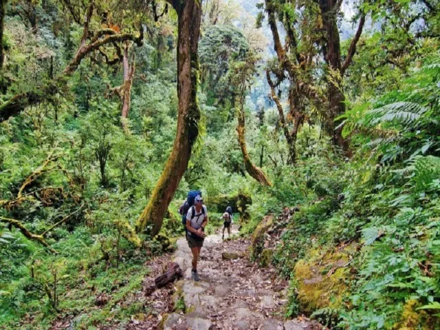 Luang Prabang Trekking To Hmong and Khmu Hilltribe Villages - 2 Days 2