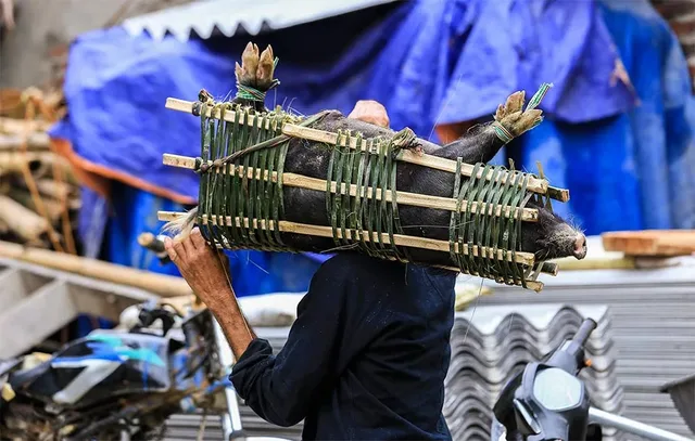 Northeast Vietnam Trekking Holiday - 8 Days 2
