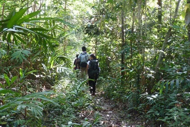 Northern Trekking and Halong Bay Cruise - 10 Days 3