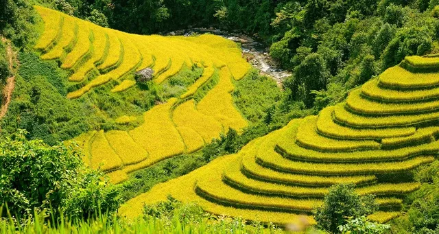 Northwest of Vietnam Soft Trekking Tour - 14 Days 4