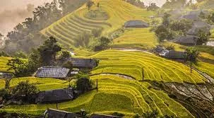 Sapa Trek To Rice Paddies and Cultures - 1 Day 1