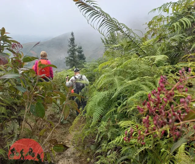 Sapa Trekking To Y Ty - The Tribal Loop Tour - 2 Days 4