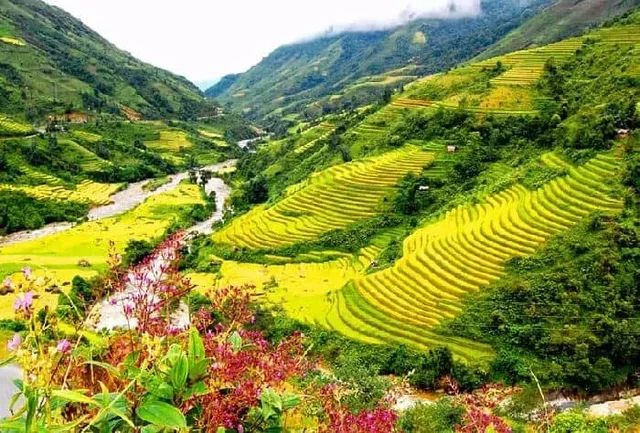 Special Trekking Tour Hanoi -Y Ty - Lao Than - Sapa - 3 Days 4