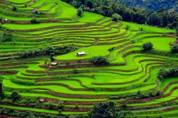 Trek in Mai Chau – Pu Luong - Ninh Binh - Halong Bay Tour - 5 Days 1