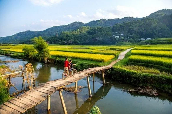 Trek in Mai Chau – Pu Luong - Ninh Binh - Halong Bay Tour - 5 Days 2