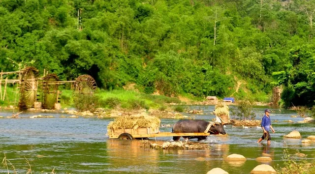 Trek in Mai Chau – Pu Luong - Ninh Binh - Halong Bay Tour - 5 Days 3