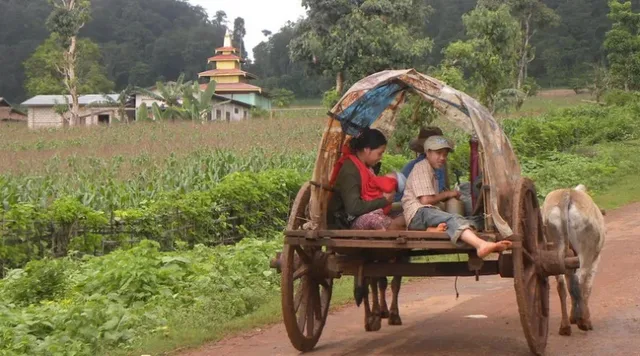 Trekking and Tribes in Northern Laos - 7 Days 2