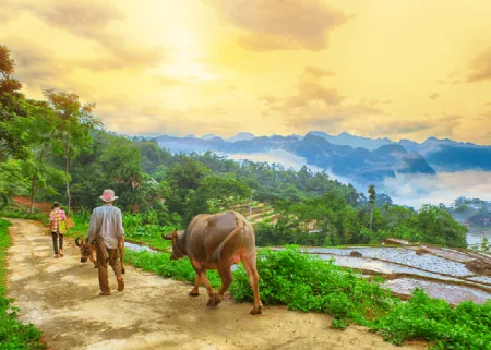 Trekking From Sapa to Lai Chau - 2 Days 3